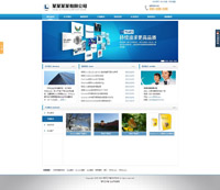 蓝色企业网站模板