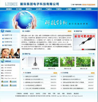 国际集团电子科技公司模板